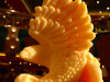 070625_seetag_mk107