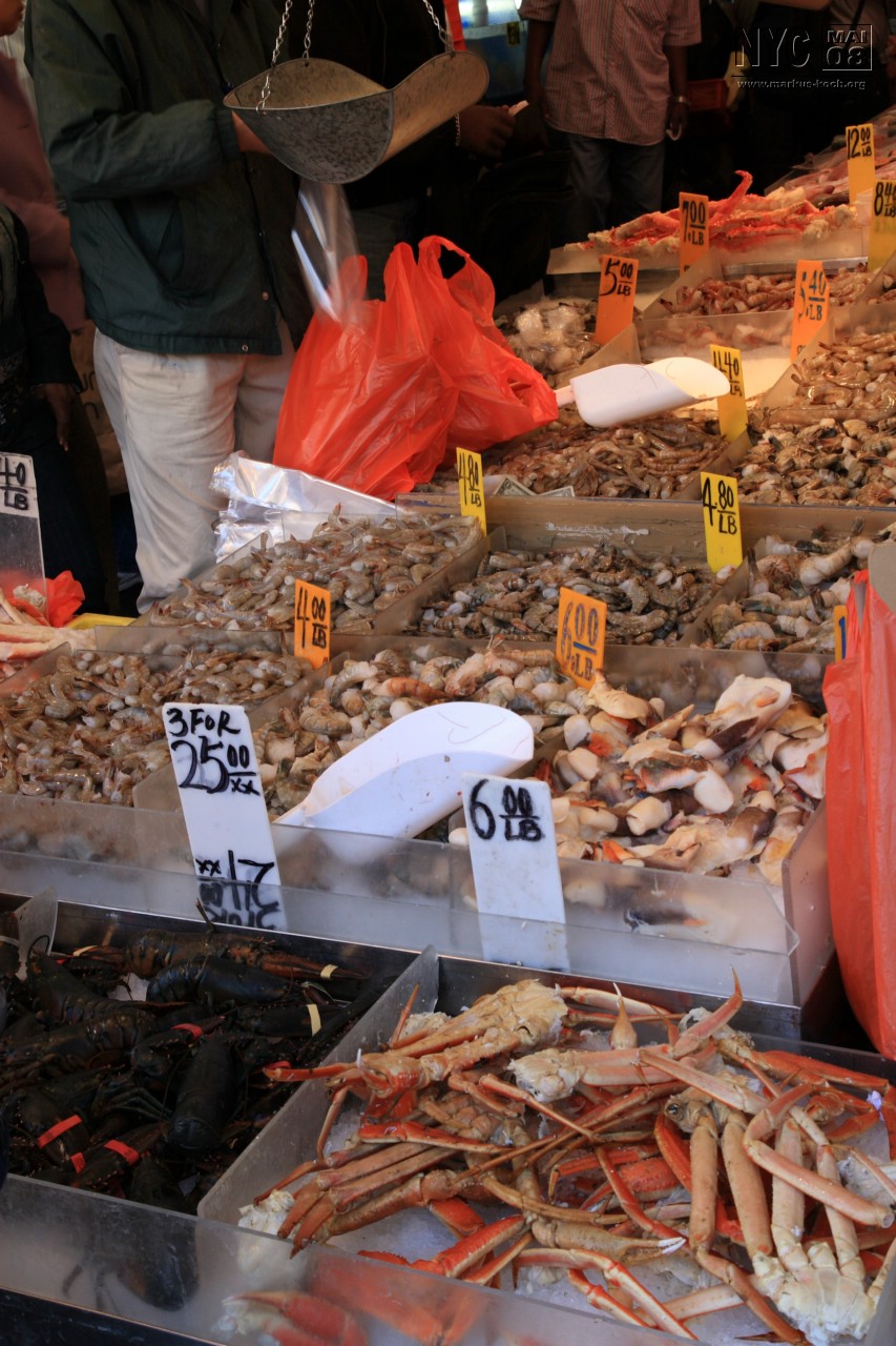 080513_nyc_tag2_mk624