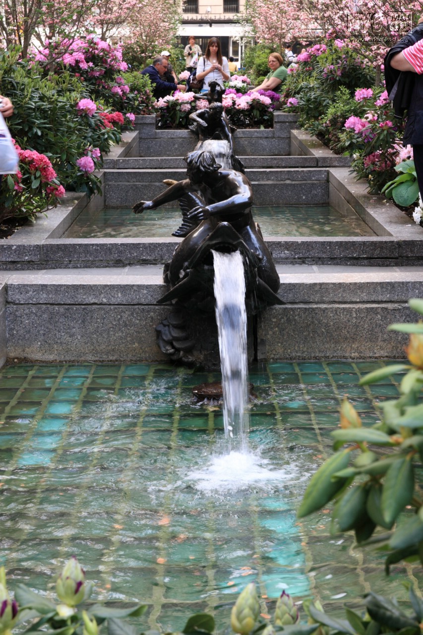 080515_nyc_tag4_mk179