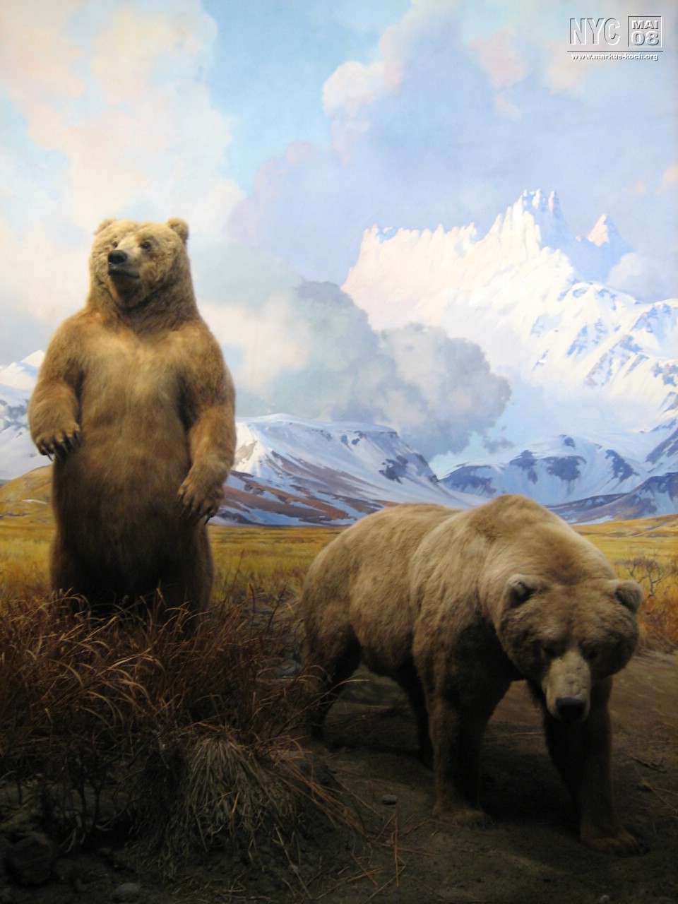 080516_nyc_tag5_mk010