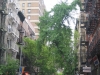 080512_nyc_tag1_mk100