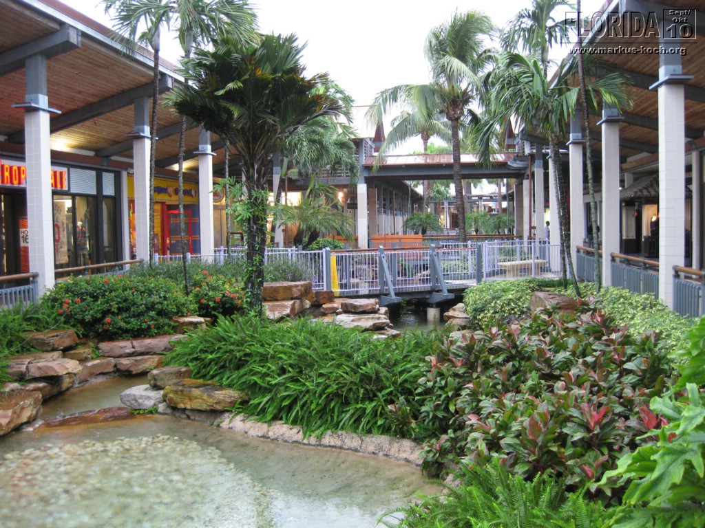 20100929_fll_to_homestead_shopping_mk19