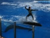 20101007_orlando3_seaworld_mk044