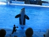20101007_orlando3_seaworld_mk105