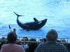 20101007_orlando3_seaworld_mk114