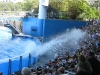 20101007_orlando3_seaworld_mk133