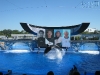 20101007_orlando3_seaworld_mk137
