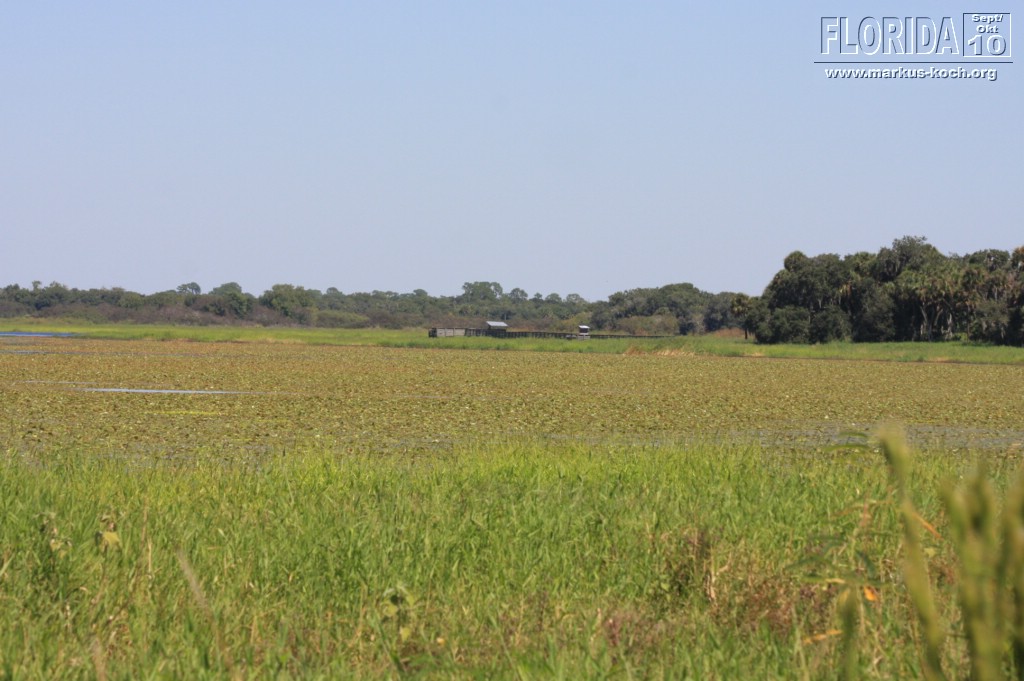 20101008_way_to_cape_coral_mk101