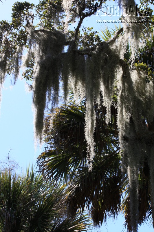 20101008_way_to_cape_coral_mk114