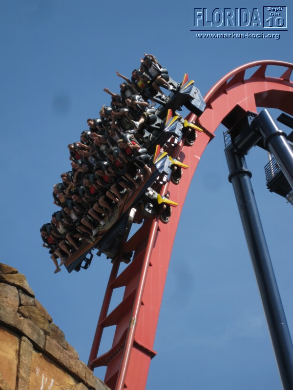 20101014_cape_coral6_busch_gardens_mk089