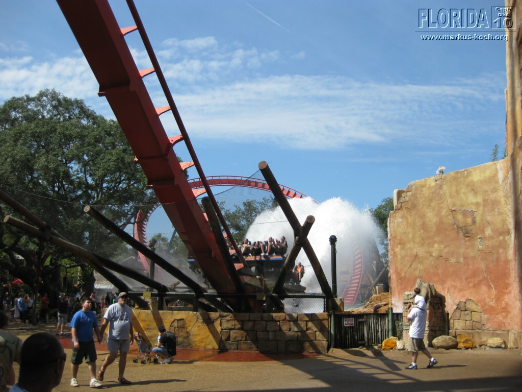 20101014_cape_coral6_busch_gardens_mk092