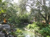 20101014_cape_coral6_busch_gardens_mk030
