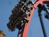 20101014_cape_coral6_busch_gardens_mk089
