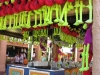 20101014_cape_coral6_busch_gardens_mk123