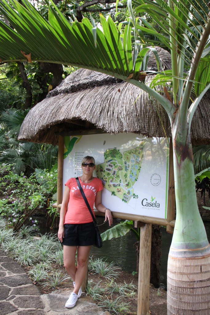 20121021_tag4_mru_cesalapark_mk001