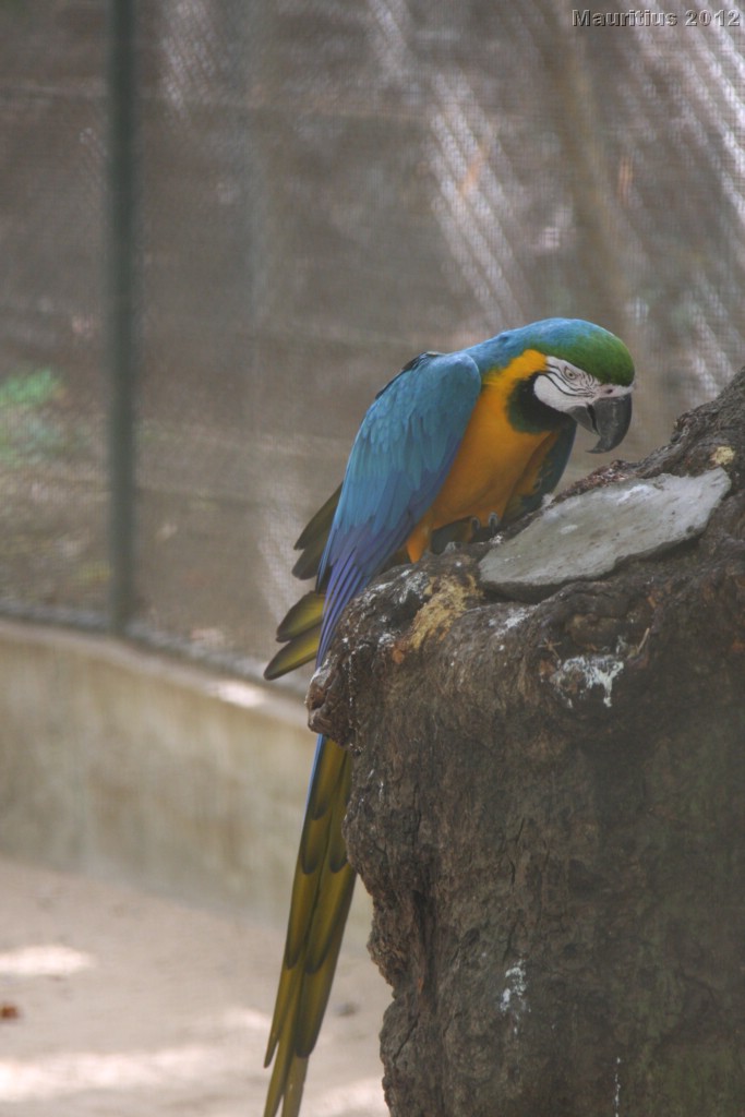 20121021_tag4_mru_cesalapark_mk008