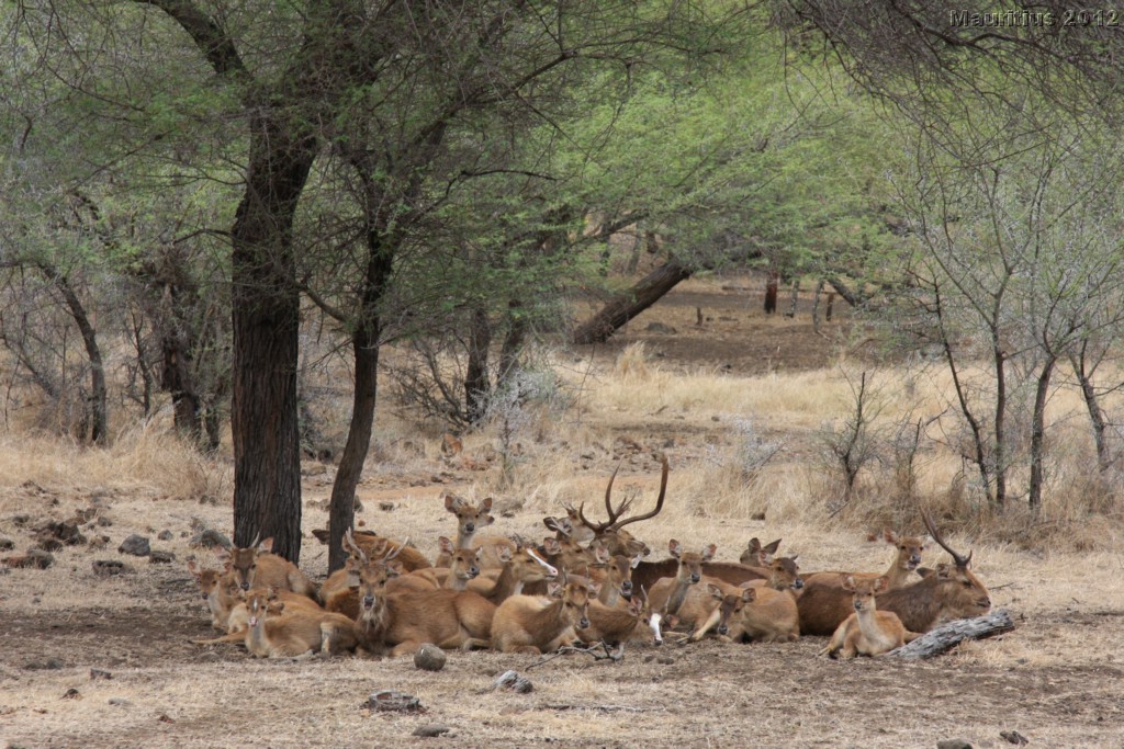 20121021_tag4_mru_cesalapark_mk146