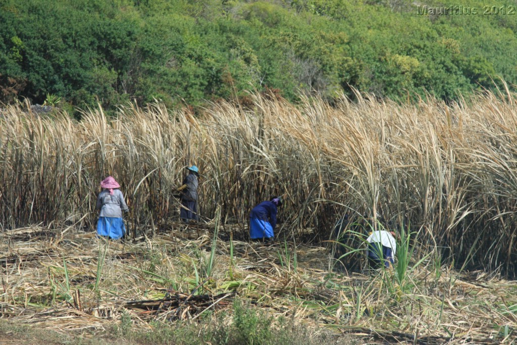 20121022_tag5_mru_naturetrails_mk002