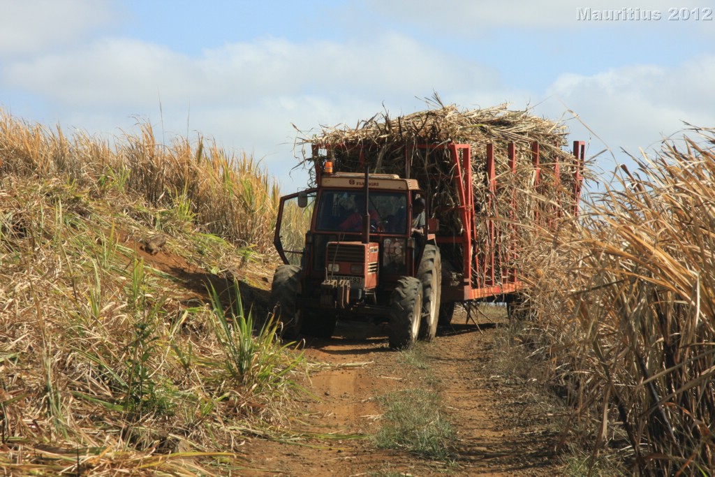 20121022_tag5_mru_naturetrails_mk003