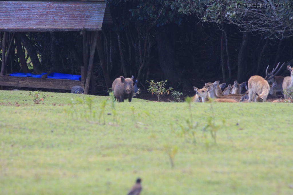 20121022_tag5_mru_naturetrails_mk046