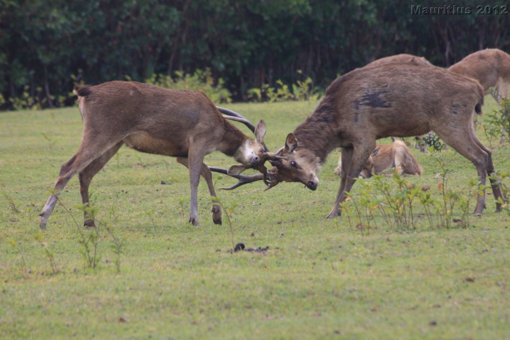 20121022_tag5_mru_naturetrails_mk089