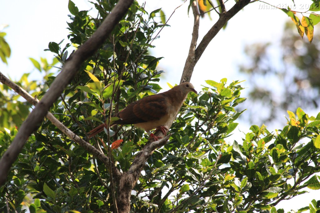 20121022_tag5_mru_naturetrails_mk135