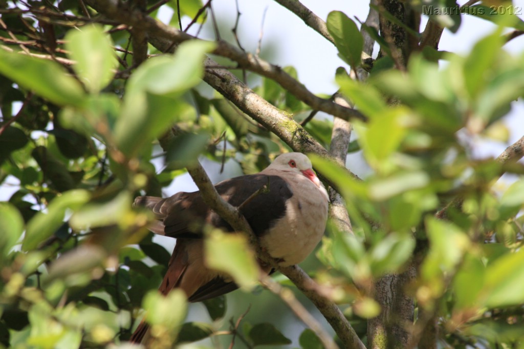 20121022_tag5_mru_naturetrails_mk139