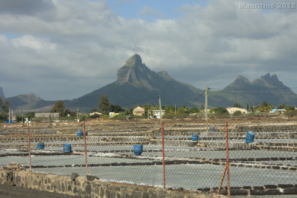 20121022_tag5_mru_naturetrails_mk164