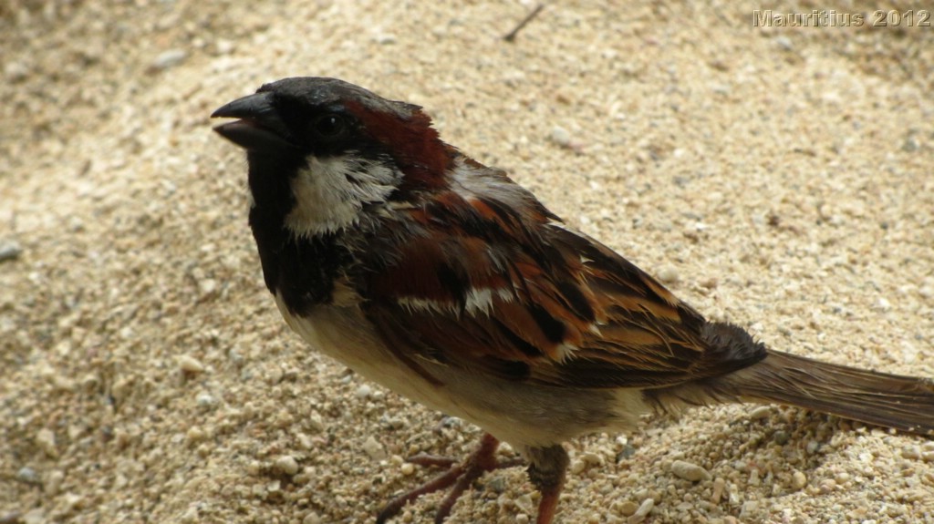 20121029_tag12_mru_mk013_0