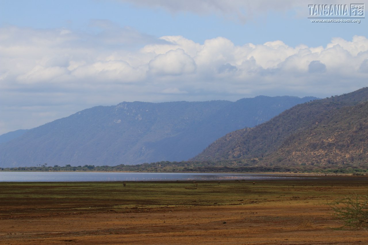 20131002_lake_manyara_np_flug_sansibar_mk079