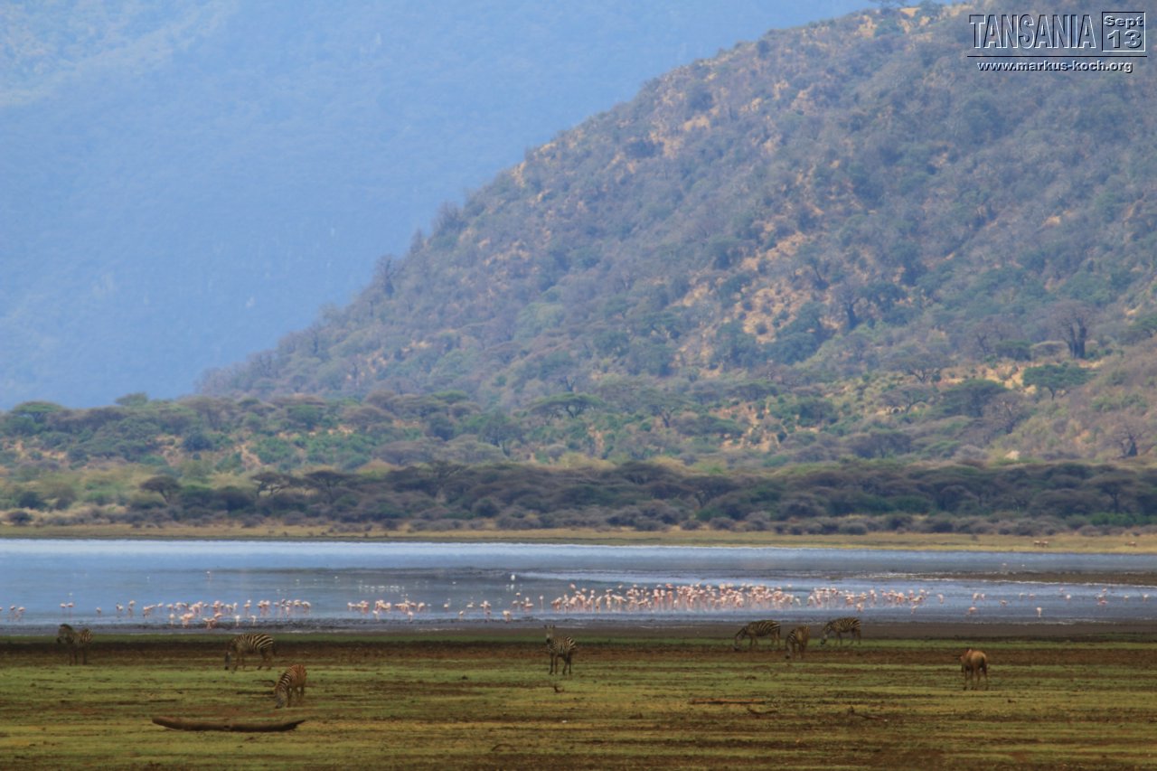 20131002_lake_manyara_np_flug_sansibar_mk081