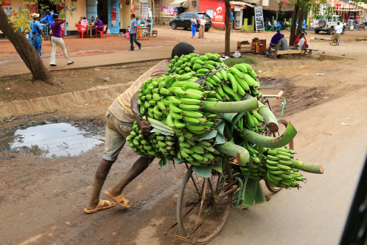 20131002_lake_manyara_np_flug_sansibar_mk132