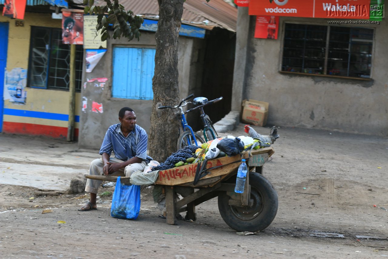 20131002_lake_manyara_np_flug_sansibar_mk191
