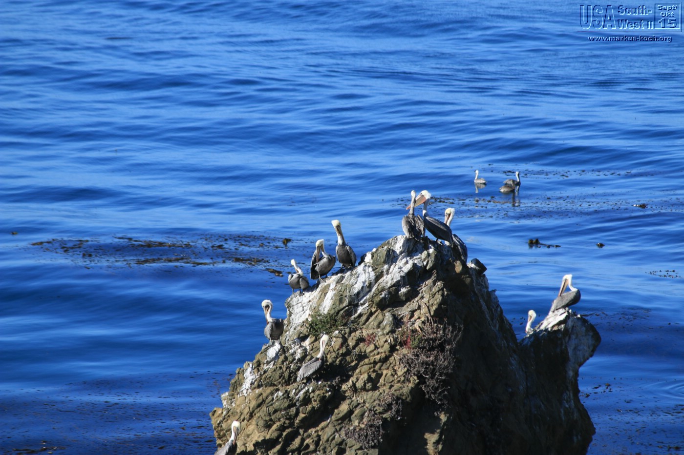 20150917_kirkcreek_us1_bigsur_monterey_watsonville_mk010
