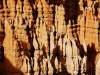 20151004_zion_bryce_mk193