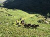 20190913-15_montafon_wandern_mk052