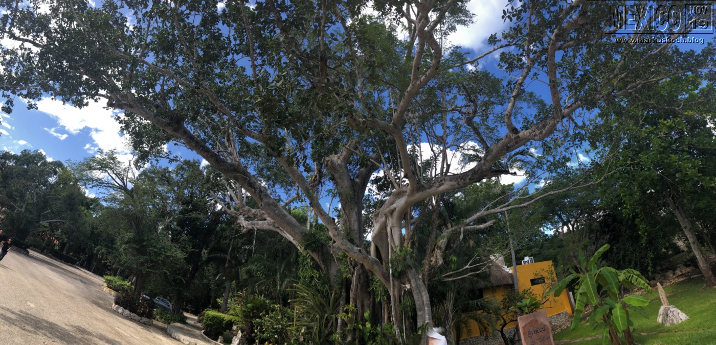 2019113-28_rivieramaya_mexiko_mk0374