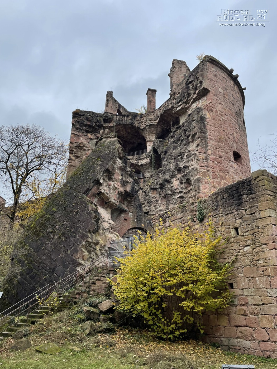 20211117-18_bingen_ruedesheim_lorely_heidelberg_mk096