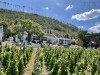 20221103-21_suedafrika_kapstadt_gardenroute_mk0685