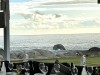 20221103-21_suedafrika_kapstadt_gardenroute_mk3272