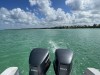 20230603-13_dom_rep_mk458