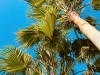 20240524-29_mallorca_mk631