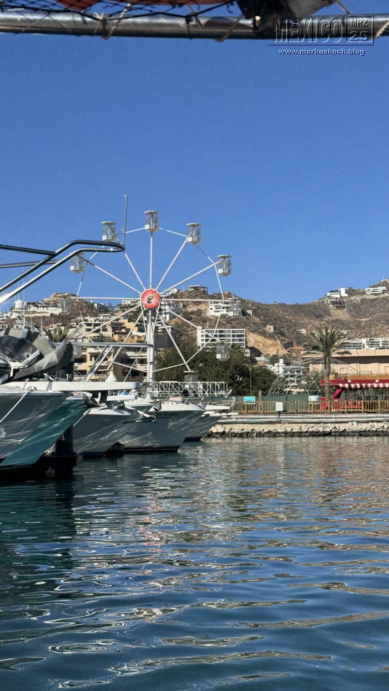 20250316-24_mexiko_baja_california_sur_mk0139