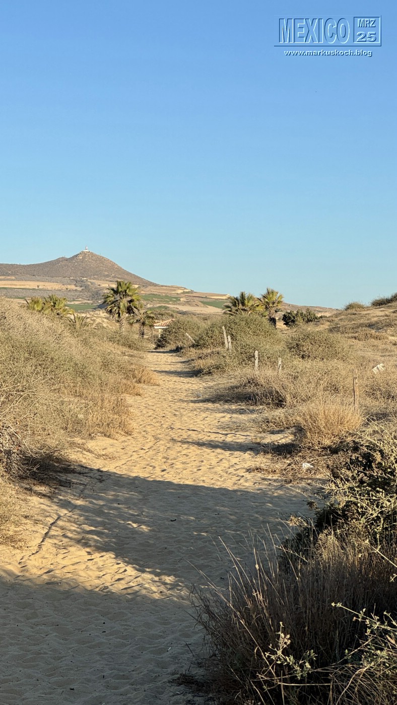 20250316-24_mexiko_baja_california_sur_mk0260