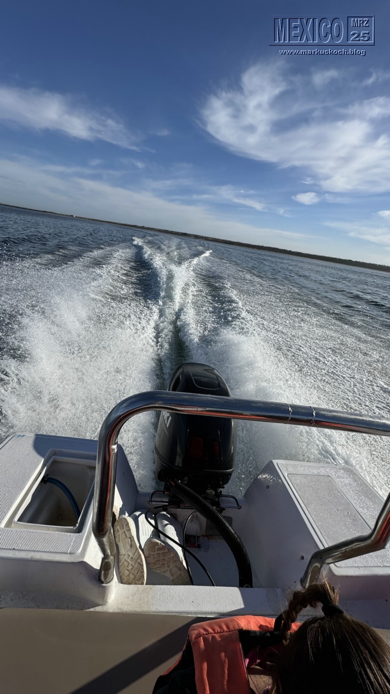 20250316-24_mexiko_baja_california_sur_mk0420