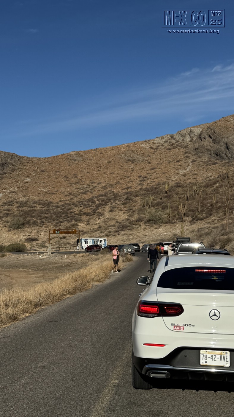 20250316-24_mexiko_baja_california_sur_mk0633