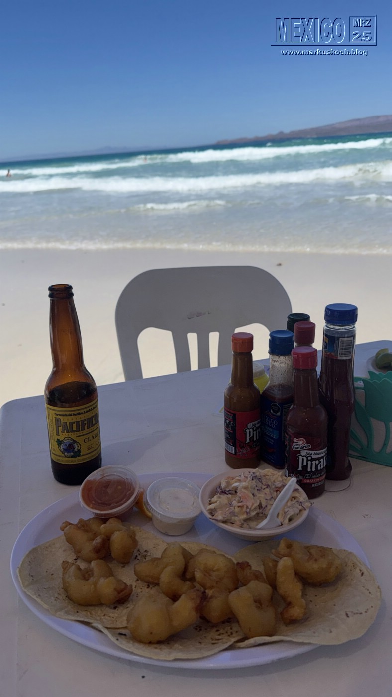 20250316-24_mexiko_baja_california_sur_mk0709