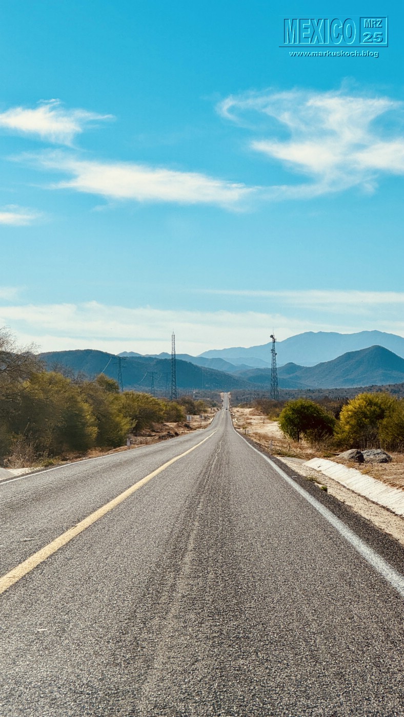 20250316-24_mexiko_baja_california_sur_mk0782