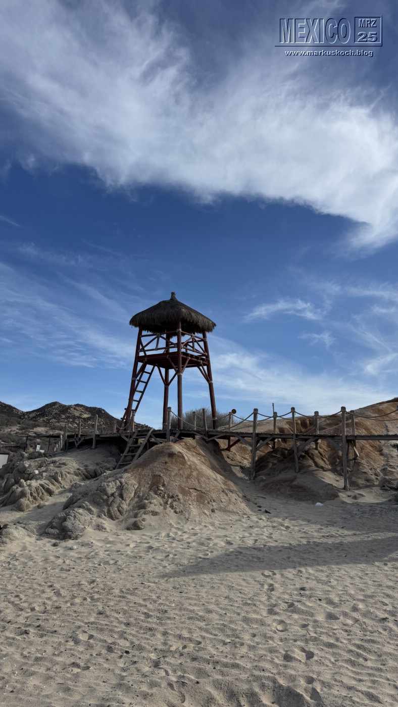 20250316-24_mexiko_baja_california_sur_mk0841