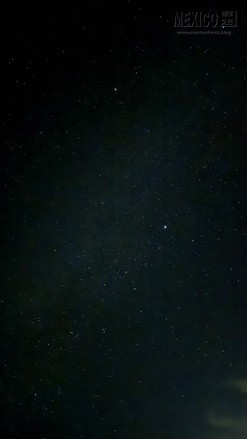 20250316-24_mexiko_baja_california_sur_mk0862